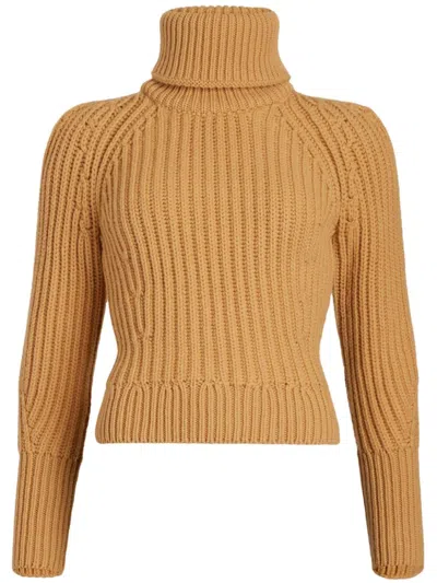 Patou Roll-neck Merino-wool Jumper In Brown