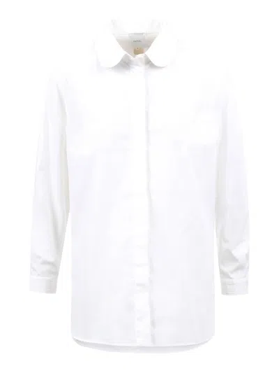 Patou Sartorial Shirt In Organic Cotton Popelines