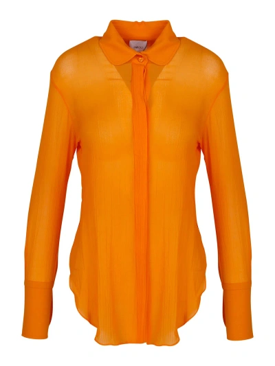 Patou Semi-transparent Shirt In Orange