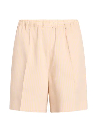 Patou Striped-pattern Shorts In Pink