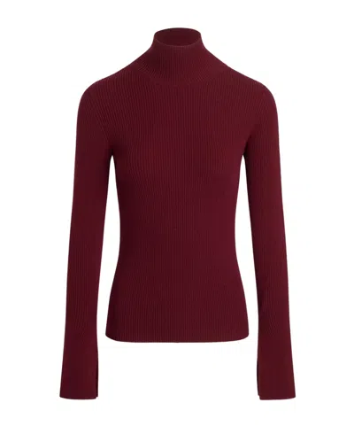 Patou Turtleneck Ribbed Sweater In Burgundy