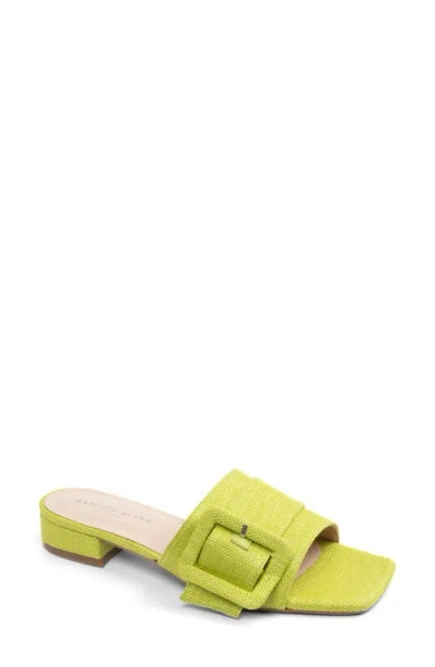 Patricia Green Bali Slide Sandal In Lime Green Raffia
