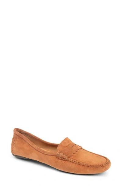 Patricia Green Janet Scalloped Driving Loafer In Brown