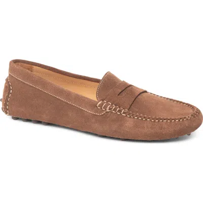 Patricia Green Jolene Driving Moccasin In Animal Print