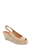 Patricia Green Peyton Slingback Espadrille Peep Toe Platform Wedge Sandal In Raffia Rainbow