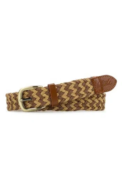 Patricia Nash Ingria Belt In Brown