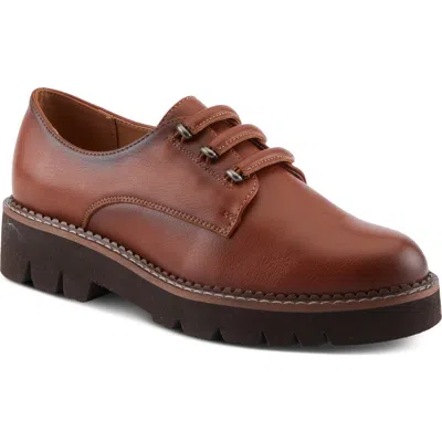 Patrizia By Spring Step Hazelina Derby