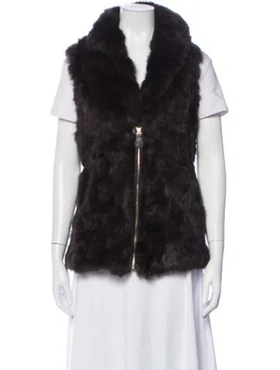 Pre-owned Patrizia Luca Fur Jacket In Brown