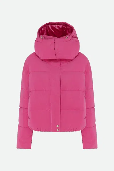 Patrizia Pepe Bomber Fucsia In Viola