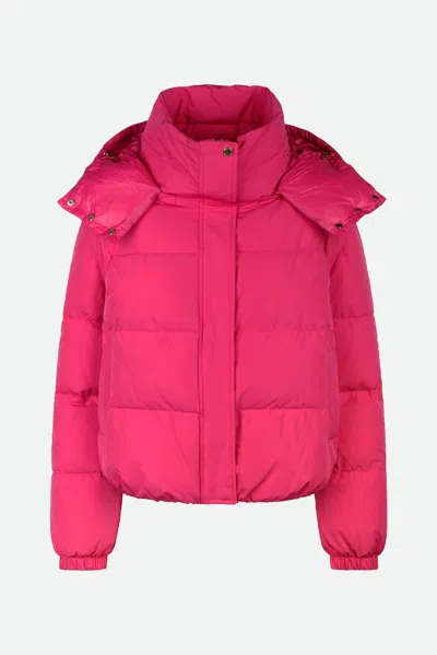 Patrizia Pepe Bomber Fucsia In Viola