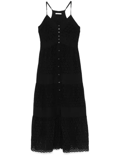 Patrizia Pepe Broderie Anglaise Midi Dress In Black