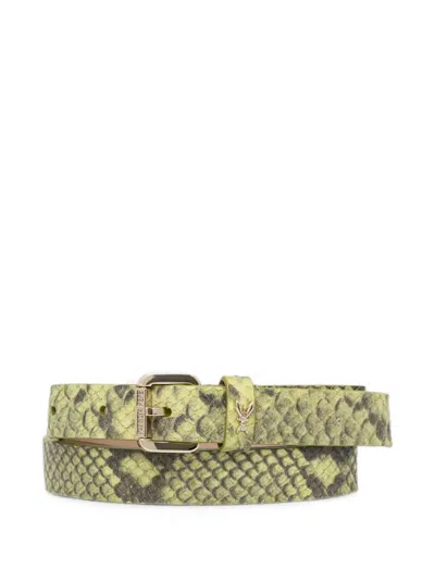 Patrizia Pepe Snakeskin-effect Buckle-fastening Belt In Green