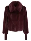 Patrizia Pepe Wide Collar Jacket In Pflaume