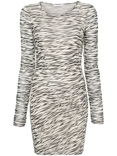 Patrizia Pepe Zebra-print Mesh Minidress In Neutrals