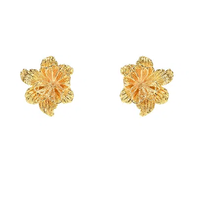 Pat’s Jewelry Women's Gold Solar Earrings
