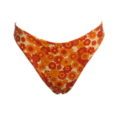 Patti Jane Swim Women's Orange Faye's Sunny Bottoms In Multi