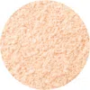 Paul & Joe Loose Face Powder