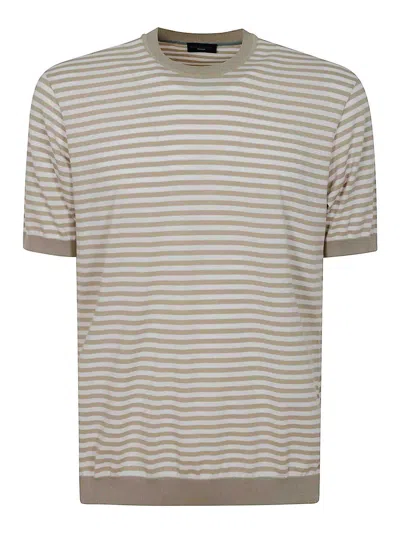 Paul & Shark Roundneck In Brown