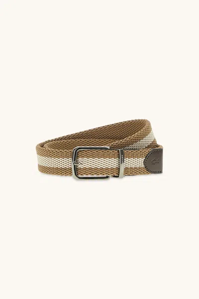 Paul & Shark Eclisse Reversible Belt In Brown