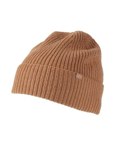 Paul & Shark Man Hat Camel Size Onesize Virgin Wool, Cashmere In Beige