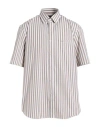 Paul & Shark Man Shirt Taupe Size 16 Cotton In Multi