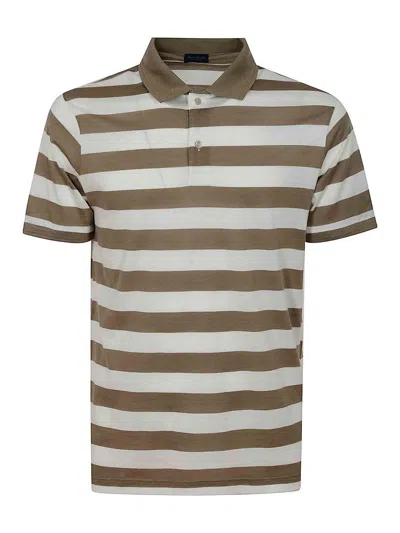 Paul & Shark Pole In Brown