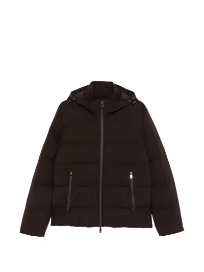 Paul & Shark Quilted Hooded Jacket In Brown