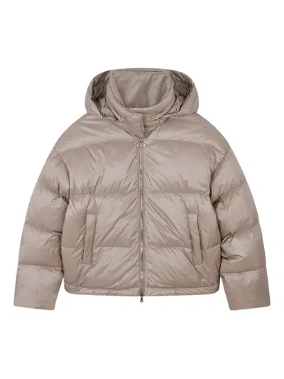 Paul & Shark Shiny Hooded Down Jacket In Neutral
