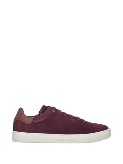 Paul & Shark Suede Low Sneakers In Purple