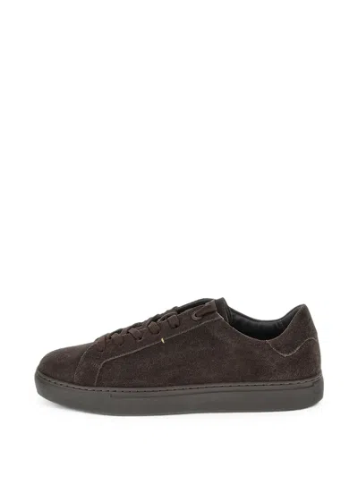 Paul & Shark Sneakers Slip-on In Suede In Brown