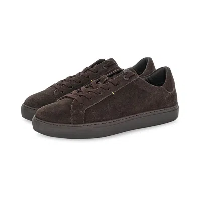 Paul & Shark Suede Sneakers In Brown