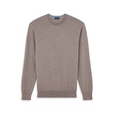 Paul & Shark Wool Sweater In Brown