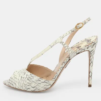 Pre-owned Paul Andrew Size 37.5 White/grey Python Leather Slingback Sandals