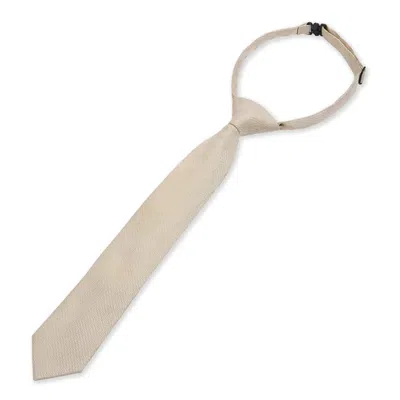 Paul Andrew Textured Necktie Satin Silk Tie In Neutral