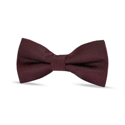 Paul Andrew Textured Satin Silk Bow Tie In Brown