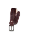 Paul Fredrick Everett Belt In Brown