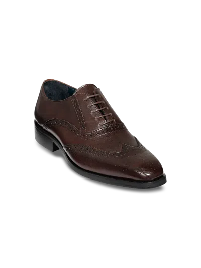Paul Fredrick Watson Oxford In Burgundy