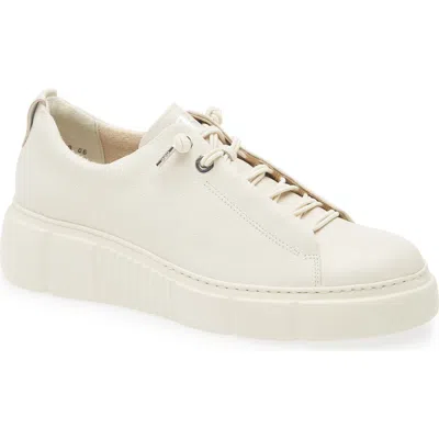 Paul Green Abbey Sneaker In Ivory Leather