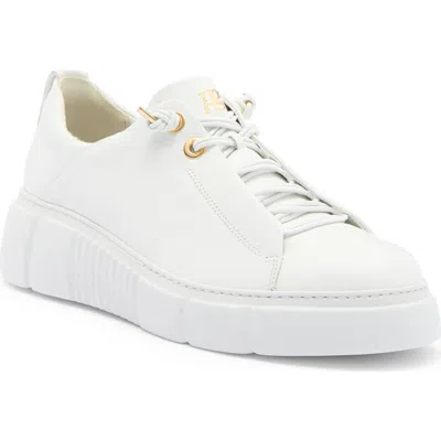 Paul Green Abbey Sneaker In White Leather