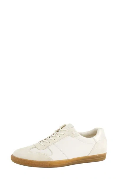 Paul Green Alison Sneaker In Ivory Soft Suede Leather