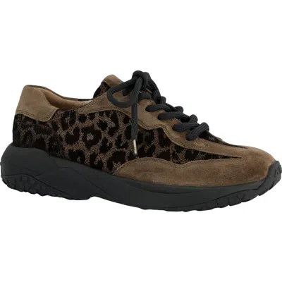 Paul Green Amber Sneaker In Brown