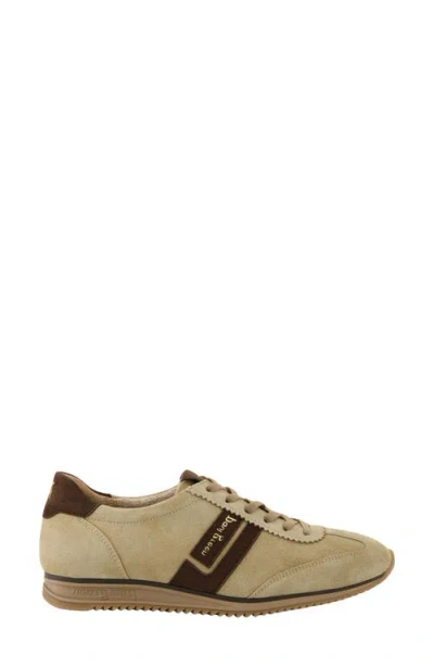 Paul Green Bellevue Sneaker In Grain Choco Combo