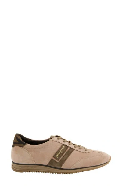Paul Green Bellevue Sneaker In Powder Earth Suede
