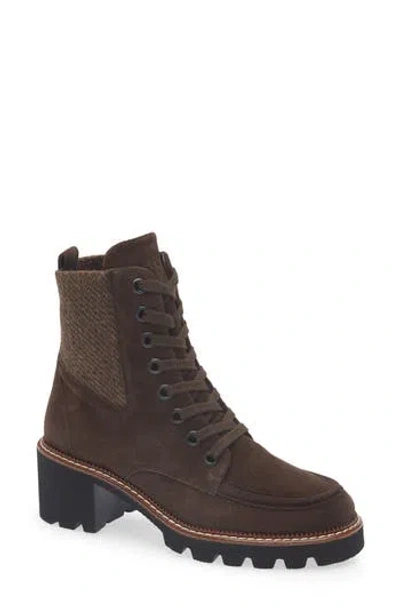 Paul Green Cassidy Hiker Boot In Brown