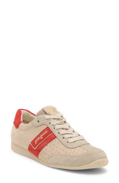 Paul Green Dandi Sneaker In Biscuit Sabbia
