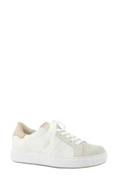 Paul Green Dashing Low Top Sneaker In Multi