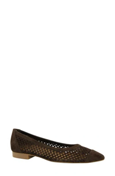 Paul Green Deanna Pointed Cap Toe Flat In Brown