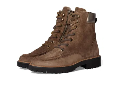 Paul Green Duke Bt In Brown