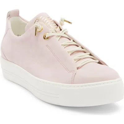 Paul Green Faye Sneaker In Animal Print