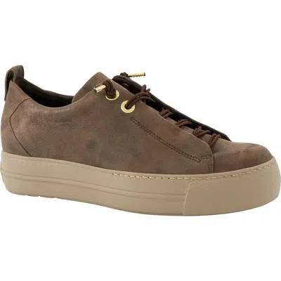 Paul Green Faye Sneaker In Earth Glossy Antic